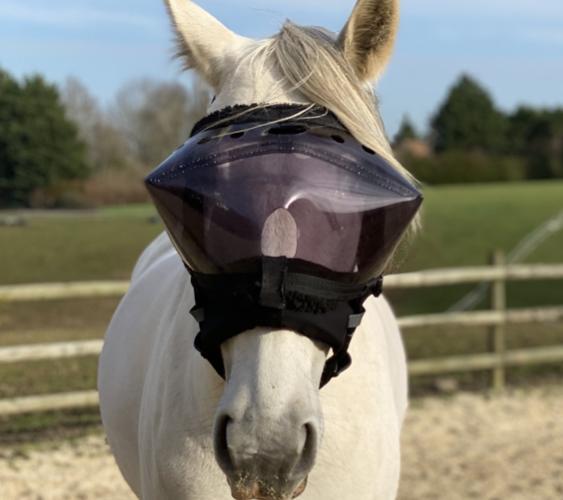 Masque volant pour chevaux Masque facial anti-moustique confortable pour  chevaux