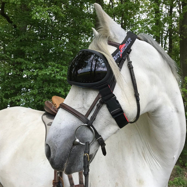 Lunette cheval eQuick - eVysor eQuick Protection cheval anti uv - Uvéite  cheval - Le Paturon