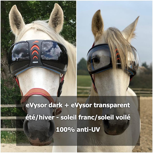 Lunettes cheval eVysor eQuick 100% anti-UV - dark - Equidiva