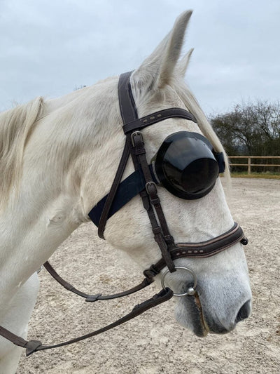 Brille equigoogs Ponys und Pferde 100% Anti-UV - getönt