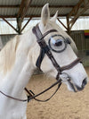 Brille equigoogs Ponys und Pferde 100% Anti-UV - transparent