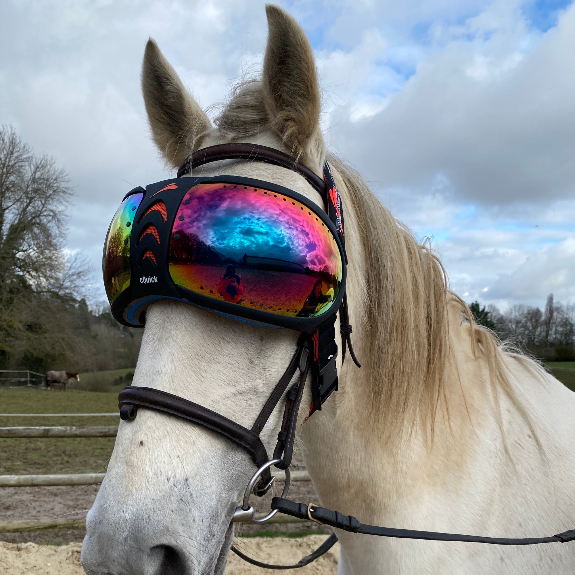 Lunettes cheval eVysor eQuick 100% anti-UV - rainbow mirror - Equidiva