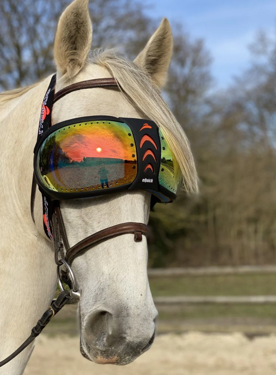 Horse Fly Masks, Horse Nets | GO Outdoors