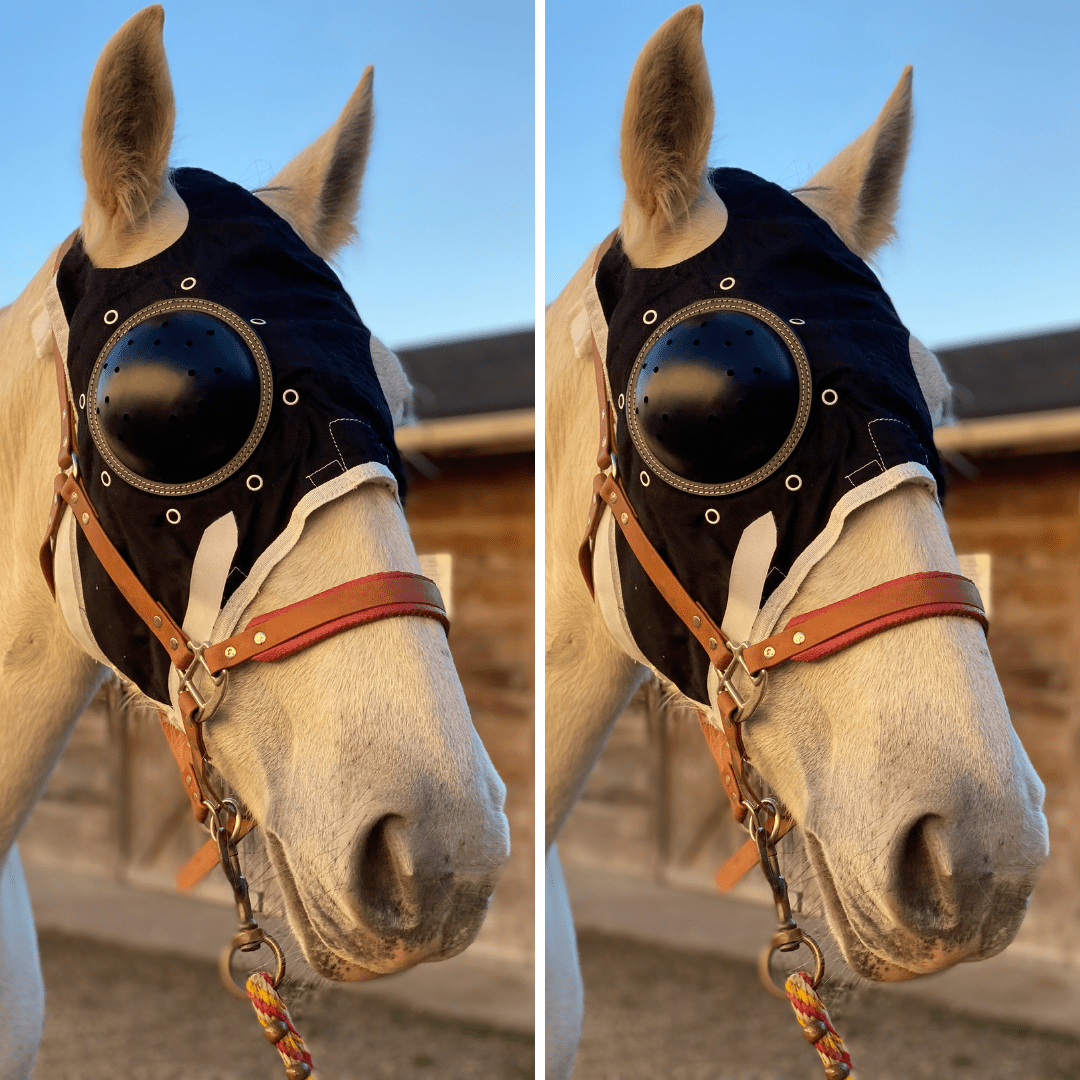 Lunettes cheval eVysor eQuick 100% anti-UV - dark - Equidiva
