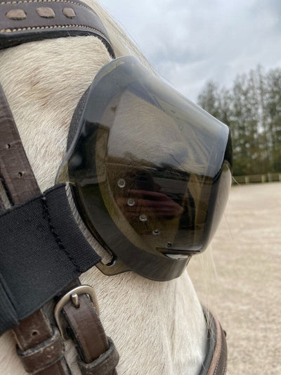 Lunettes equigoogs poneys et chevaux 100% anti-UV - teintées