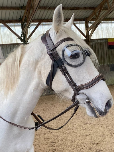 Lunettes equigoogs poneys et chevaux 100% anti-UV - transparent