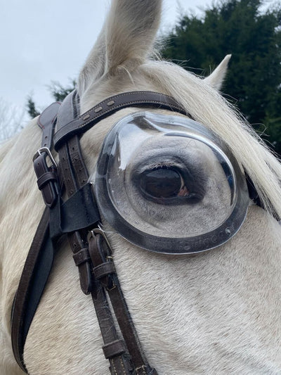 Lunettes equigoogs poneys et chevaux 100% anti-UV - transparent