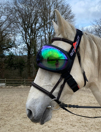 Lunettes cheval eVysor eQuick 100% anti-UV - dark - Equidiva